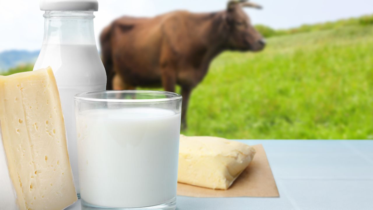 Animal Husbandry Increase Farmers Income Bihar New Government Schemes Significantly Increase Milk Production