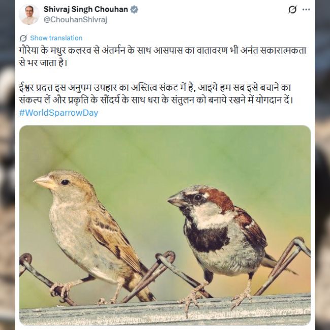 World Sparrow Day, Sparrow Conservation, Environment Awareness, Bird Protection, Biodiversity