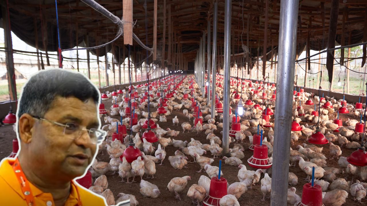 Starting With Wage Of Rs 5 Today With 1 80 Lakh Chickens Farmer Reached Turnover Rs 15 Crore