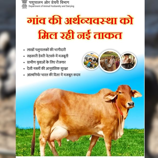 Dairy Farming, Animal Husbandry, Rural Economy, Gokul Mission, Farmer Income, Livestock Development