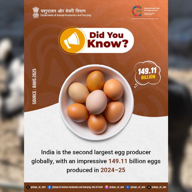 Egg Production, India Poultry, China Egg Production, Poultry Farming, Nutrition India, Global Ranking