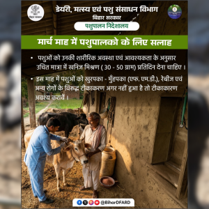 Animal Husbandry, Mineral Mixture, FMD Vaccine, Livestock Health, Dairy Farming, Animal Vaccination