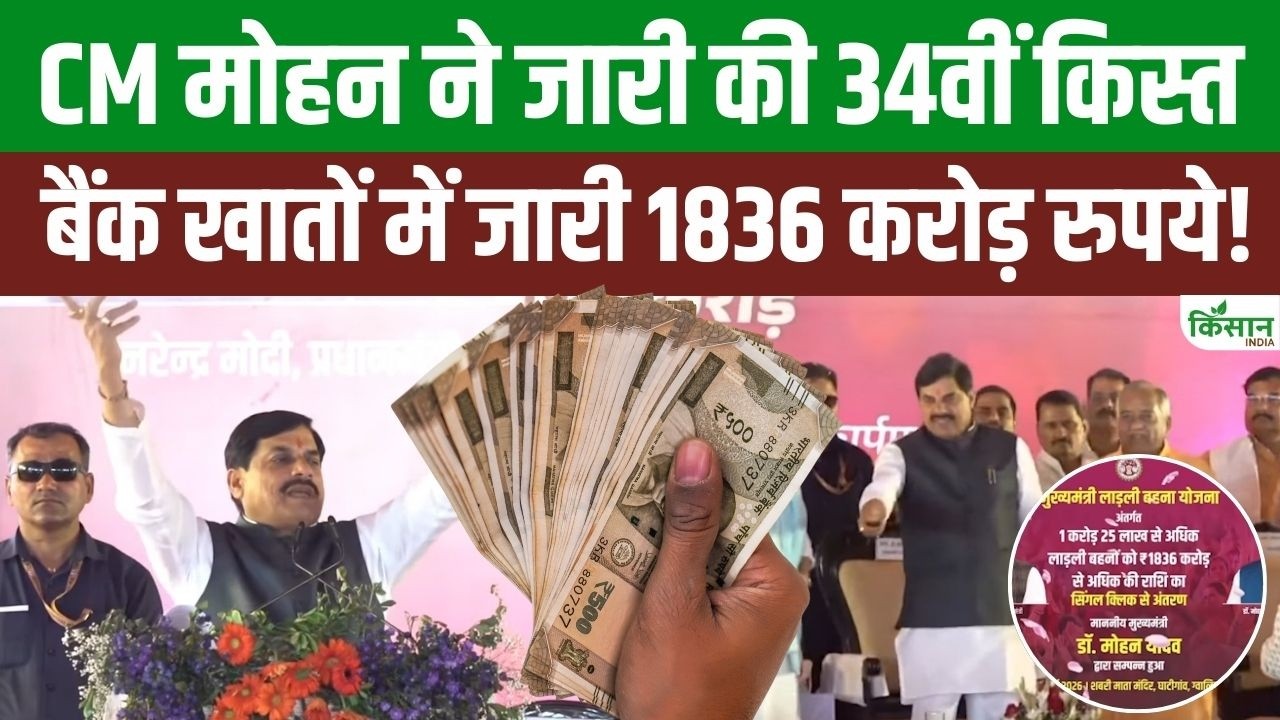मुख्यमंत्री मोहन यादव ने लाड़ली बहना योजना की 34वीं किस्त जारी की, बहनों के खातों में पहुंचे 1836 करोड़ रुपये