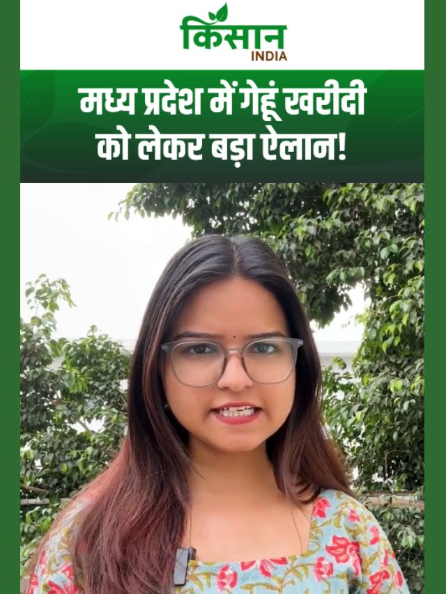 मध्यप्रदेश में गेहूं खरीदी को लेकर बड़ा ऐलान, इन जिलों में सबसे पहले शुरू होगा उपार्जन!