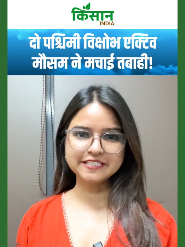 दो पश्चिमी विक्षोभ एक्टिव, मौसम ने मचाई तबाही, कश्मीर से केरल तक मौसम का कहर!