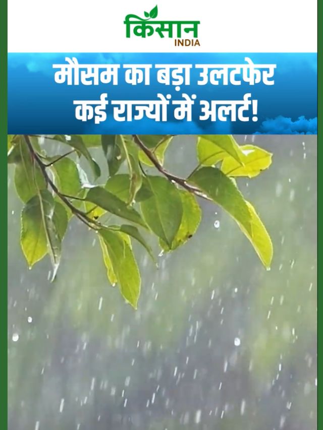 Aaj Ka Mausam: मौसम का बड़ा उलटफेर, कई राज्यों में अलर्ट, बारिश-ओले और तेज हवाओं से खतरा