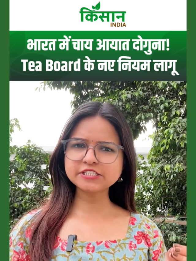 भारत की चाय पर खतरा? 50 मिलियन किलो चाय आयात! संसद में सरकार का खुलासा!