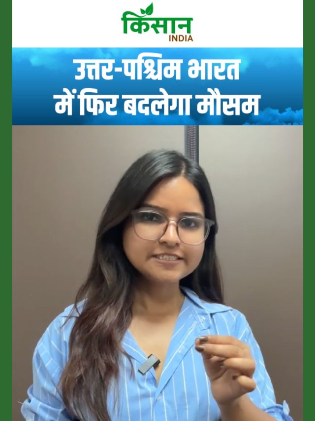 उत्तर-पश्चिम भारत में फिर बदलेगा मौसम, 15 से 18 मार्च तक बर्फबारी के आसार!