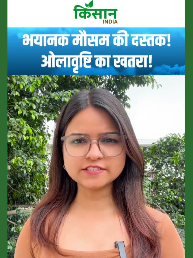 भयानक मौसम की दस्तक! ओलावृष्टि और बिजली गिरने का बड़ा खतरा!