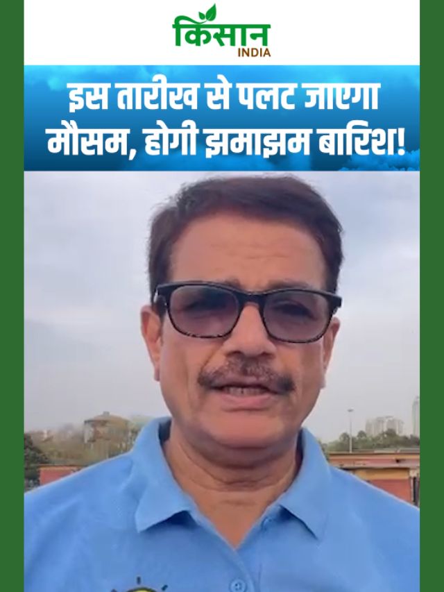 देशभर में इस तारीख से पलटने वाला है मौसम, झमाझम बारिश को लेकर एक्सपर्ट की चेतावनी!