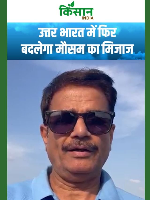 उत्तर भारत में फिर बदलेगा मौसम का मिजाज, मौसम को लेकर IMD की चेतावनी!