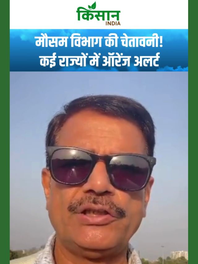 दिल्ली एनसीआर और यूपी में बारिश का अलर्ट, बिहार के कुछ हिस्सों में आंधी और बिजली!