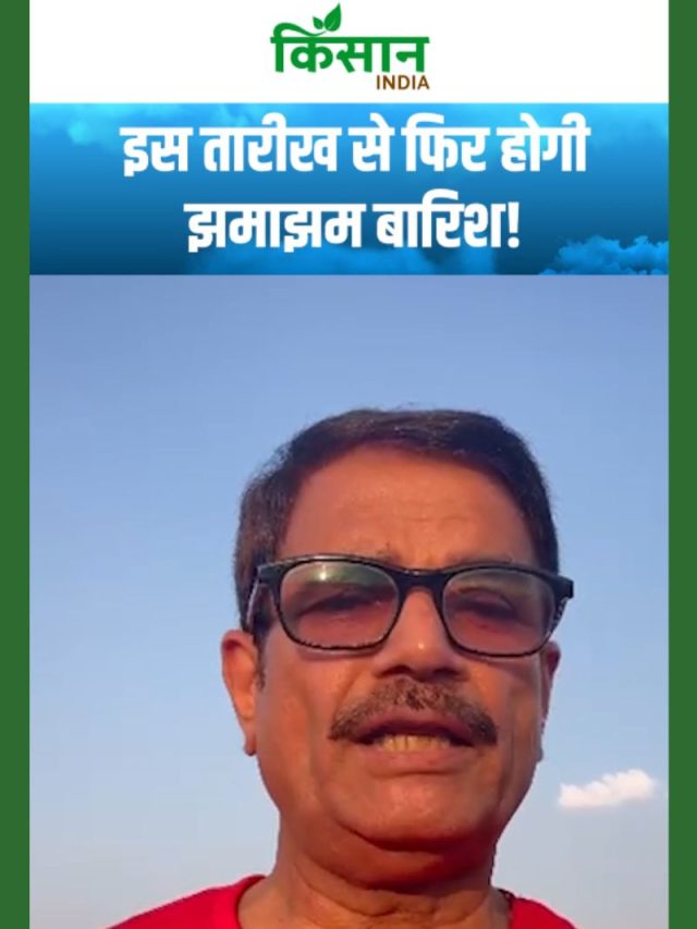 देश के इन 12 राज्यों में बारिश-तूफान, IMD की बड़ी चेतावनी!