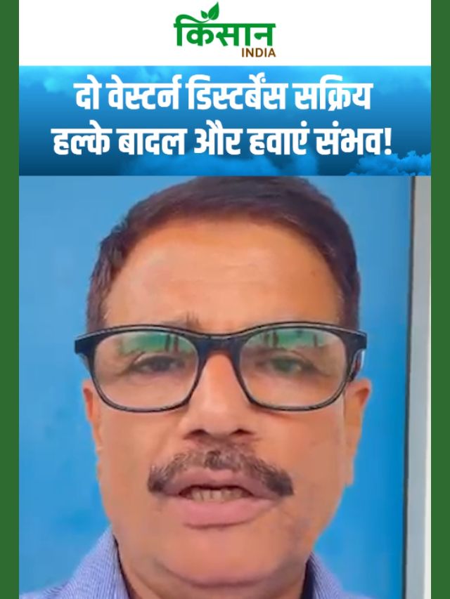 दो वेस्टर्न डिस्टर्बेंस सक्रिय, इन इलाकों में 2 मार्च को बारिश की संभावना!