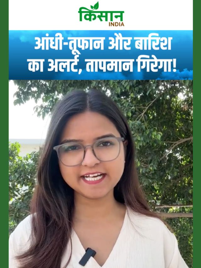 अचानक पलटेगा मौसम! तेज हवाएं, बारिश और ठंडक का झटका!