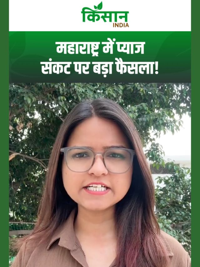 महाराष्ट्र में प्याज संकट पर बड़ा फैसला! CM फडणवीस ने किया बड़ा ऐलान!