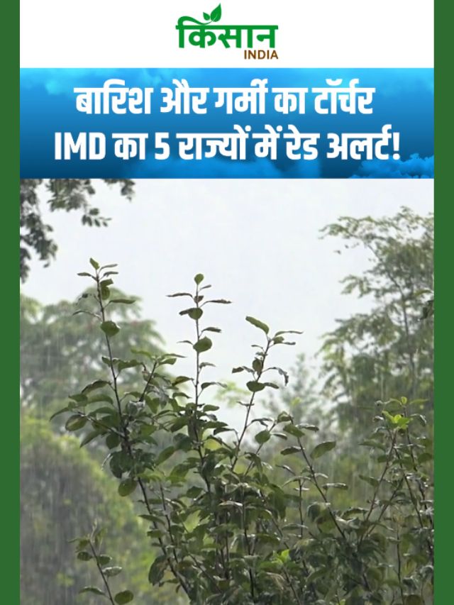 पश्चिमी विक्षोभ से बदलेगा पहाड़ों का मौसम! यूपी और एमपी में बढ़ेगी गर्मी!