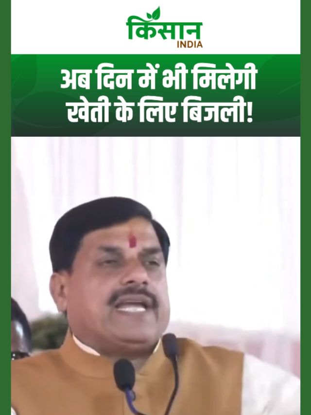 मुख्यमंत्री मोहन यादव का बड़ा बयान, अब दिन में भी मिलेगी खेती के लिए बिजली!