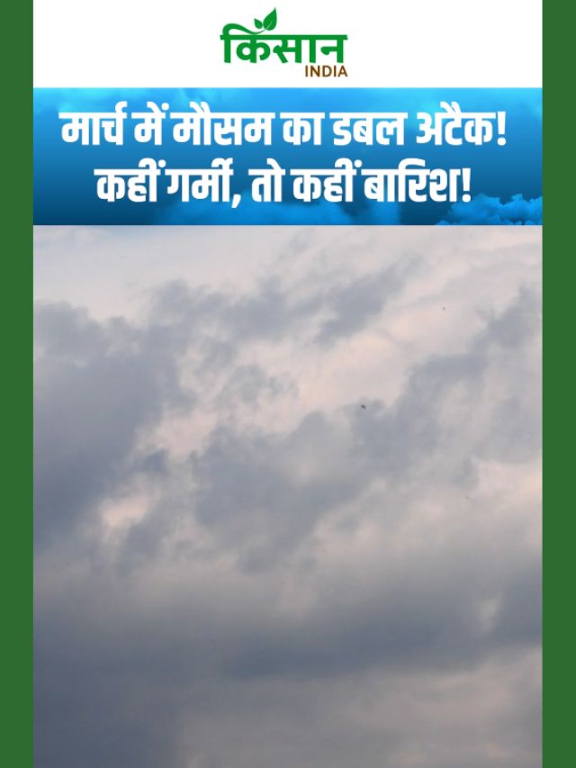 मार्च में मौसम का डबल अटैक, देशभर में बदलेगा मौसम, कहीं गर्मी तो कहीं बारिश का दौर!