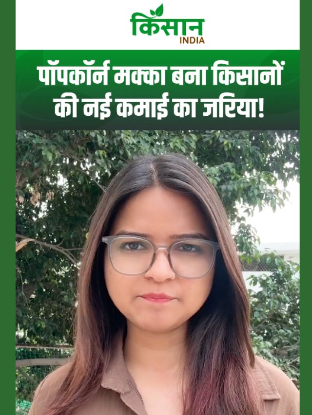 2030 तक पॉपकॉर्न आयात पर लगेगी रोक, 810 करोड़ रुपये की होगी बचत