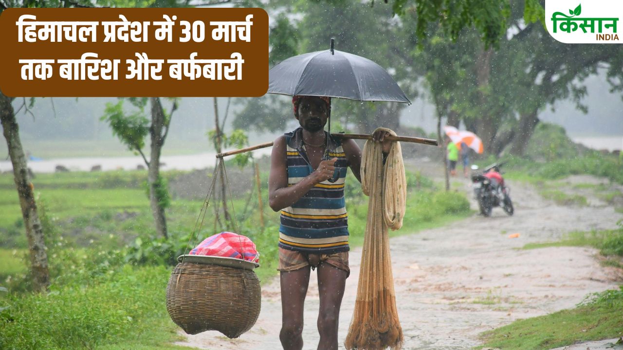 29 March Weather Update Western Disturbance Active Rain Alert Issued