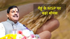 MP के किसानों के लिए डबल खुशखबरी! गेहूं पर बढ़ा बोनस, उड़द पर भी 600 रुपये का फायदा