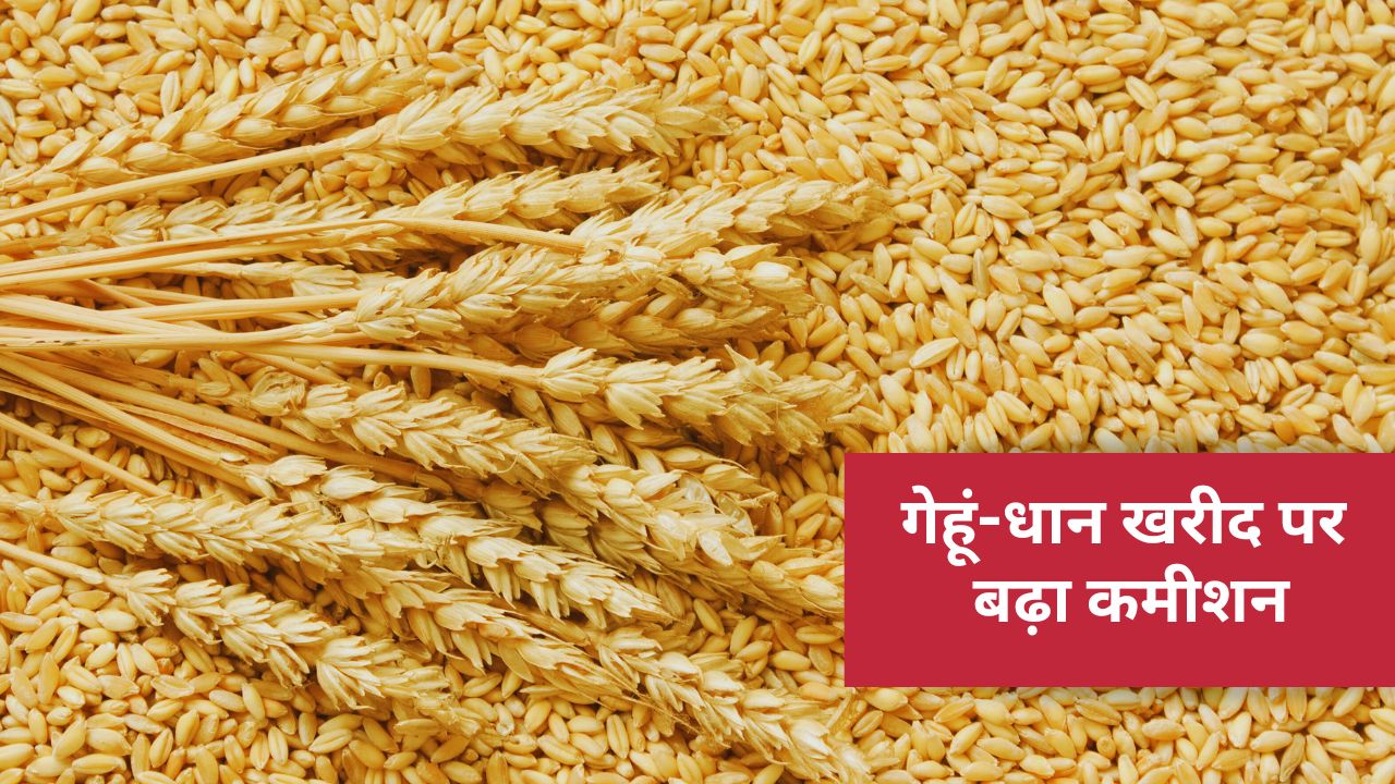Wheat Paddy Procurement Commission Increased For Arthiyas Societies Farmers Benefit
