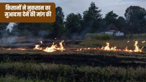 आग लगने से 200 बीघा गेहूं जलकर राख, किसानों को 15 लाख रुपये तक का नुकसान