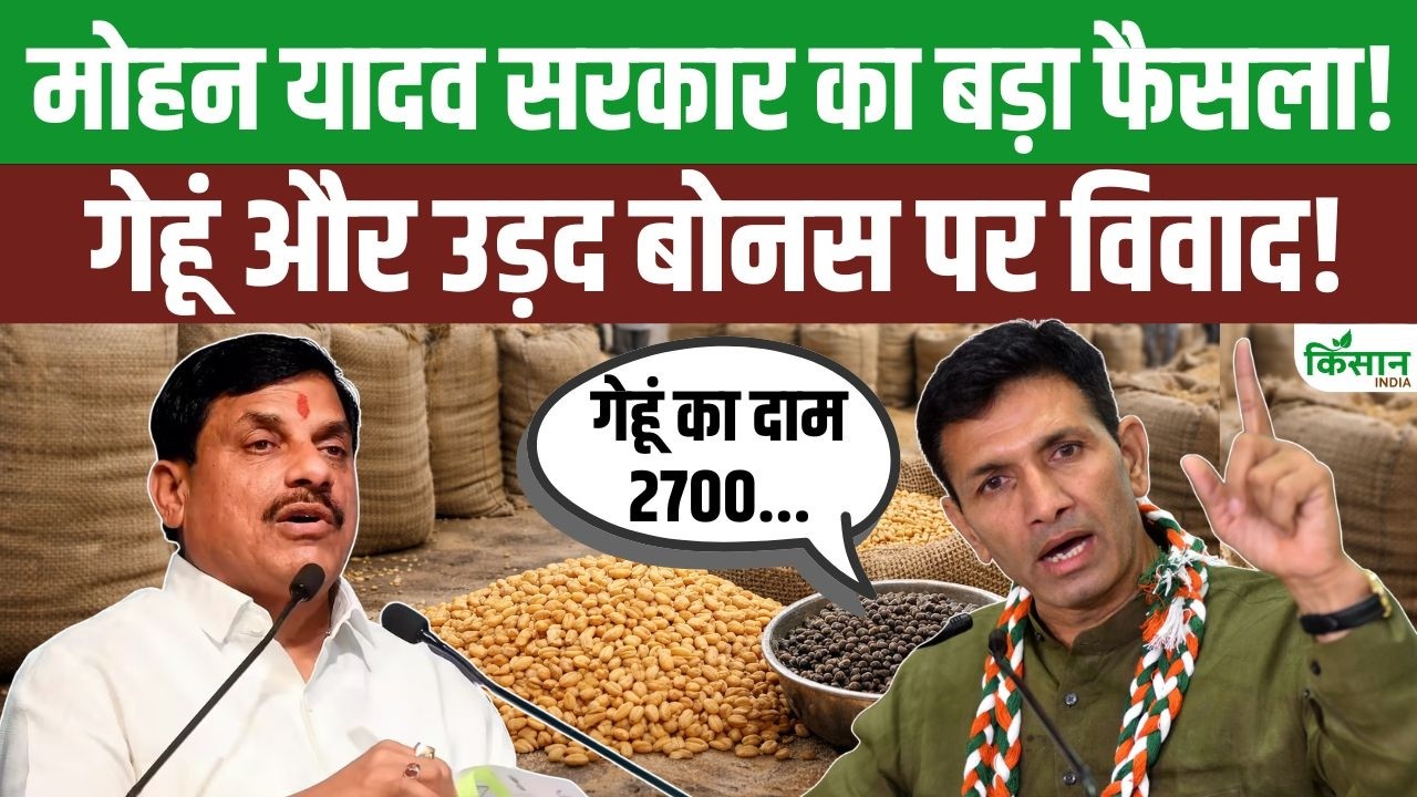 मोहन यादव का किसानों को बड़ा तोहफा, गेहूं बोनस देने का ऐलान; जीतू पटवारी ने सरकार को दी खुली चेतावनी