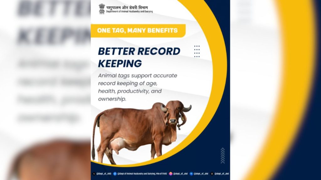 पशुपालन विभाग (Dept of Animal Husbandry & Dairying, Min of FAH&D) के अनुसार, टैगिंग के जरिए पशु का जन्म, आयु, स्वास्थ्य स्थिति, दूध उत्पादन और मालिकाना रिकॉर्ड आसानी से रखा जा सकता है. यह डेटा पशुपालकों के लिए बहुत उपयोगी होता है.
पशुपालन विभाग (Dept of Animal Husbandry & Dairying, Min of FAH&D) के अनुसार, टैगिंग के जरिए पशु का जन्म, आयु, स्वास्थ्य स्थिति, दूध उत्पादन और मालिकाना रिकॉर्ड आसानी से रखा जा सकता है. यह डेटा पशुपालकों के लिए बहुत उपयोगी होता है.