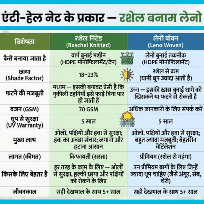Anti-Hail Nets in Indian Farming: How This Protective Technology is Helping Farmers Save Crops, Reduce Losses and Boost Profits Amid Extreme Weather