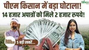 PM Kisan योजना में बड़ा फर्जीवाड़ा सामने आया, 14 हजार अपात्र लाभार्थियों पर कार्रवाई