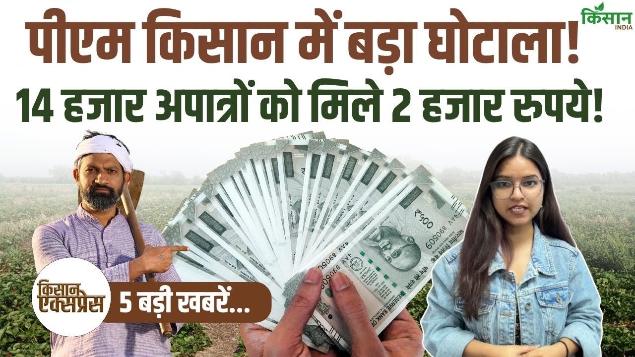 PM Kisan योजना में बड़ा फर्जीवाड़ा सामने आया, 14 हजार अपात्र लाभार्थियों पर कार्रवाई