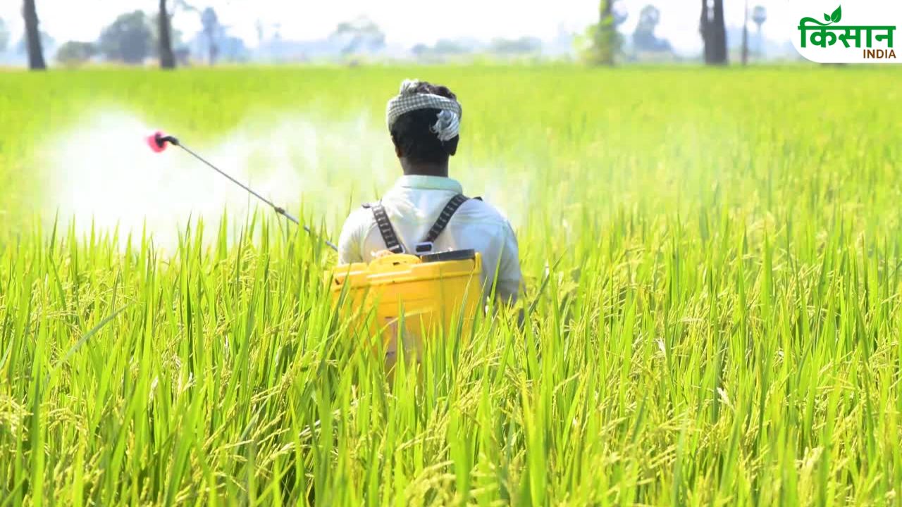 Skm Expressed Displeasure Over The Statement Union Agriculture Minister Shivraj Singh Chouhan