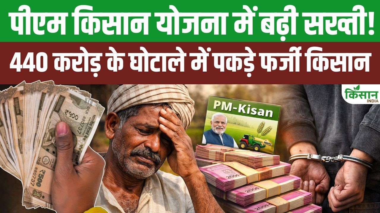 PM Kisan योजना में बड़ा घोटाला उजागर, एक मोबाइल नंबर से जुड़े 2 लाख किसान, सरकार ने सख्त कार्रवाई शुरू