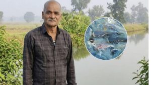 Success Story: इस योजना से 6 गुना बढ़ गई किसान की कमाई, अब मछली पालन से साल में 7 लाख की इनकम Success Story: इस योजना से 6 गुना बढ़ गई किसान की कमाई, अब मछली पालन से साल में 7 लाख की इनकम