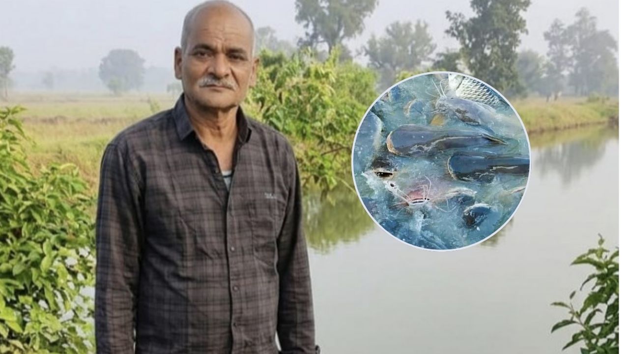 Successful Farmers Pradhan Mantri Matsya Sampada Yojana Increased The Income Chhattisgarh Farmers Six Fold