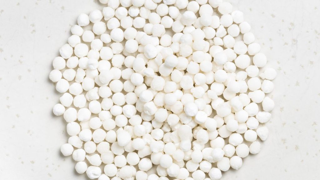 कसावा की जड़ें जल्दी तैयार नहीं होतीं, बल्कि इन्हें पूरी तरह विकसित होने में करीब 8 से 24 महीने लगते हैं. इसके बाद ही इन्हें खेत से निकालकर प्रोसेसिंग के लिए भेजा जाता है. कसावा की जड़ें जल्दी तैयार नहीं होतीं, बल्कि इन्हें पूरी तरह विकसित होने में करीब 8 से 24 महीने लगते हैं. इसके बाद ही इन्हें खेत से निकालकर प्रोसेसिंग के लिए भेजा जाता है.