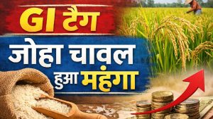 GI टैग वाला खुशबूदार जोहा चावल हुआ महंगा, एक साल में दाम दोगुने, जानिए क्यों आम लोगों की पहुंच से दूर