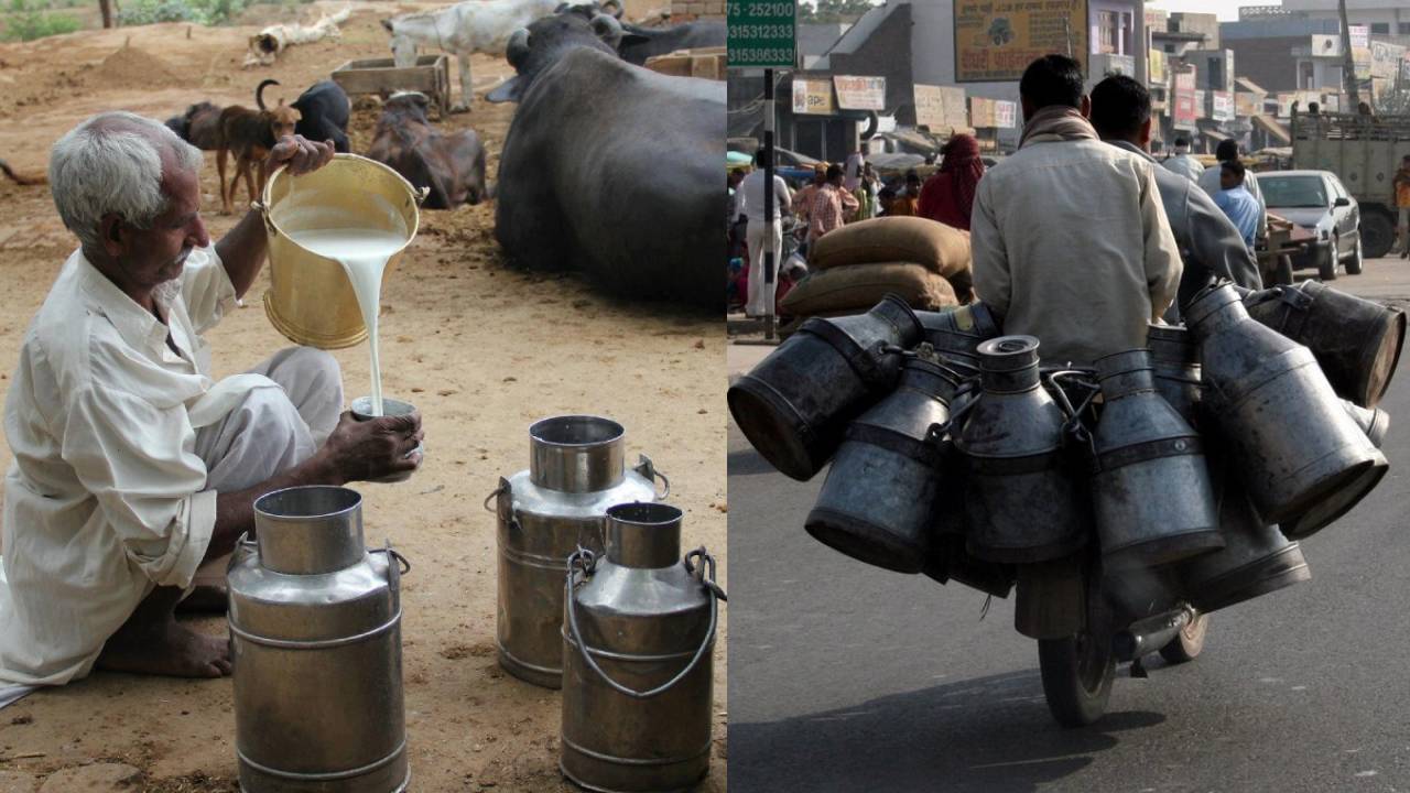 Fssai Makes Registration Mandatory For Independent Milk Producers And Vendors To Ensure Safe Milk Supply In India