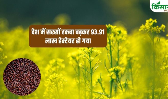 सरसों के उत्पादन में 3.64 फीसदी की बढ़ोतरी, राजस्थान पहले स्थान पर.. जानें MP, यूपी, हरियाणा का हाल