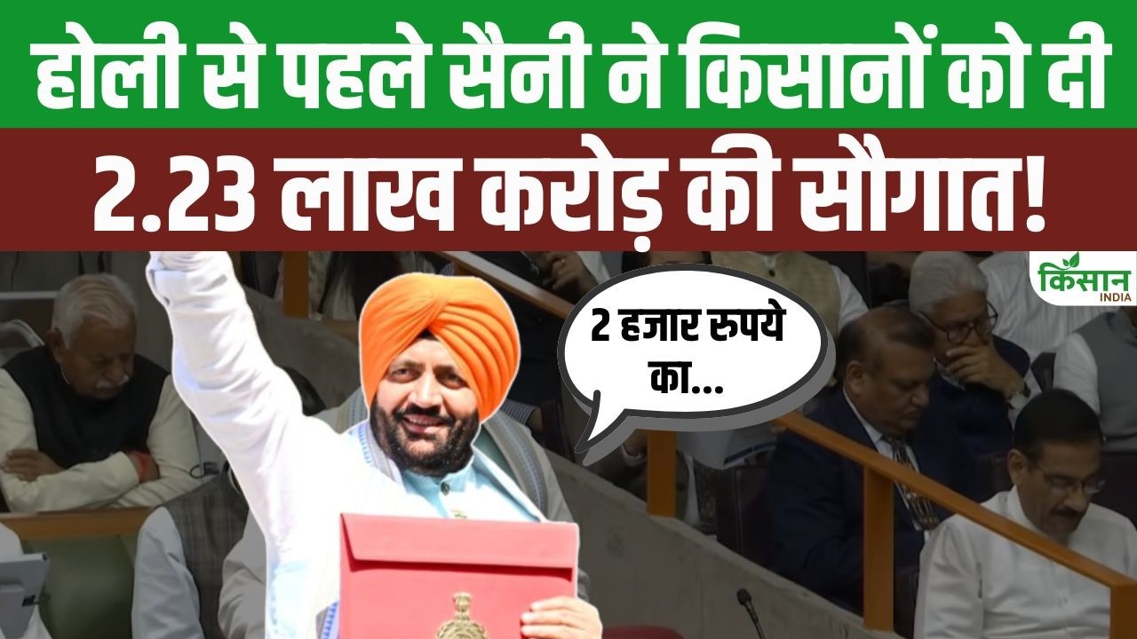 Gift Farmers Before Holi Cm Nayab Singh Saini Presented A Budget Of Rs 2 23 Lakh Crore