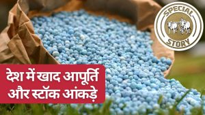 क्या सच में खाद का कोई संकट नहीं है? सरकारी आंकड़ों ने खोल दी हकीकत.. जानिए खाद डिमांड, स्टॉक और उत्पादन
