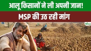 आलू के गिरते दाम से टूटे किसान, बंगाल और यूपी में आत्महत्या के मामले बढ़े.. MSP की मांग तेज