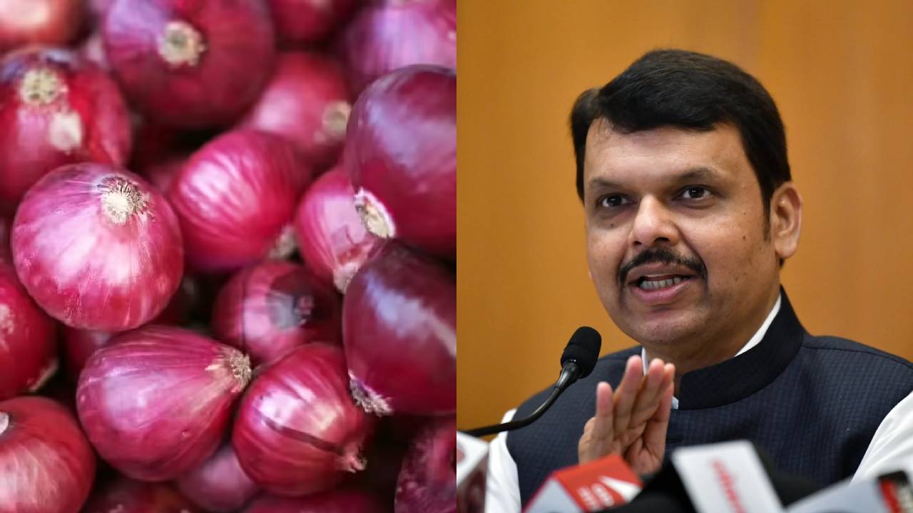 Maharashtra Onion Price Volatility Committee Fadnavis Farmer Relief Long Term Agriculture Reforms India