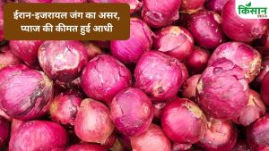 Iran- Israel War: 50 फीसदी गिरा प्याज का रेट, किसानों ने की ‘MIS’ योजना लागू करने की मांग.. CM को लिखा पत्र