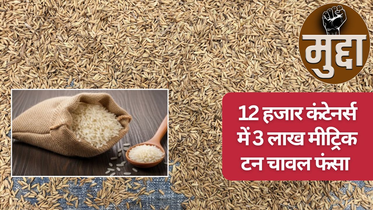 India Rice Export Association Said Rs 3000 Crore At Risk Due To Iran Conflict Over 3 Lakh Metric Ton Rice Stuck Traders Losses Of Rs 300 Crore Till Now