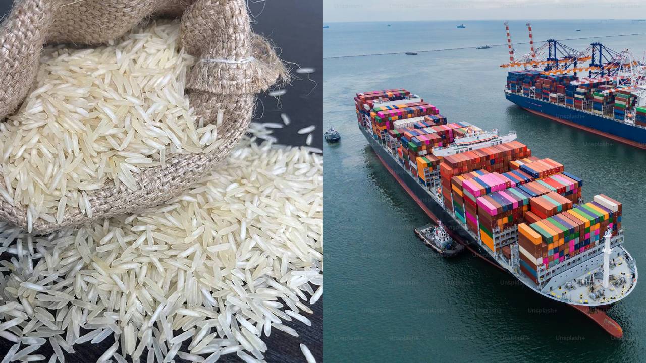 West Asia Crisis Basmati Rice Exports Madhya Pradesh Price Fall 300 500 Impact Farmers Trade