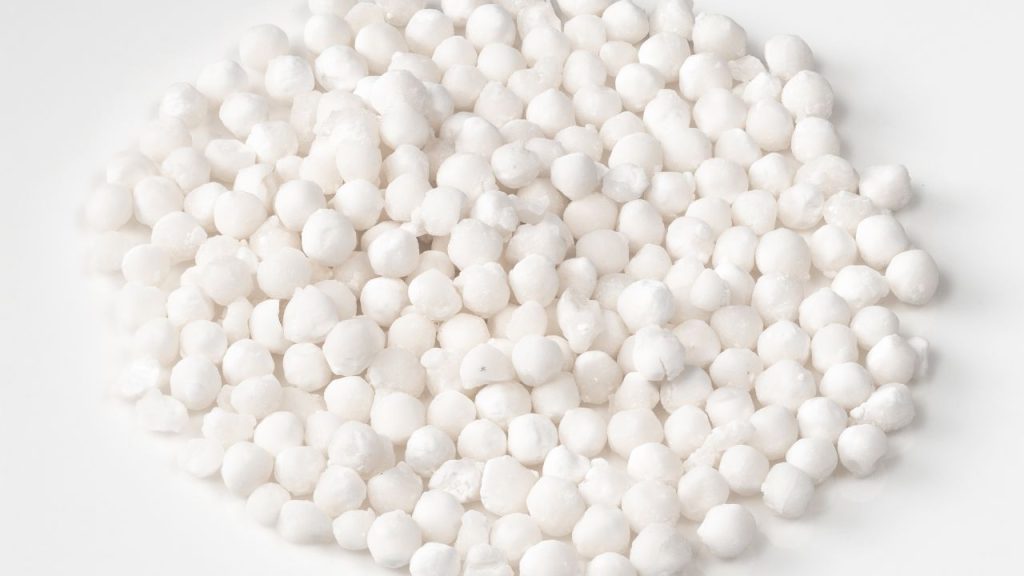 जड़ों को निकालने के बाद सबसे पहले उन्हें अच्छी तरह धोया जाता है, ताकि मिट्टी, धूल और बाकी अशुद्धियां पूरी तरह हट जाएं. यह स्टेप बहुत जरूरी होता है, क्योंकि इससे साबूदाना की गुणवत्ता तय होती है. जड़ों को निकालने के बाद सबसे पहले उन्हें अच्छी तरह धोया जाता है, ताकि मिट्टी, धूल और बाकी अशुद्धियां पूरी तरह हट जाएं. यह स्टेप बहुत जरूरी होता है, क्योंकि इससे साबूदाना की गुणवत्ता तय होती है.