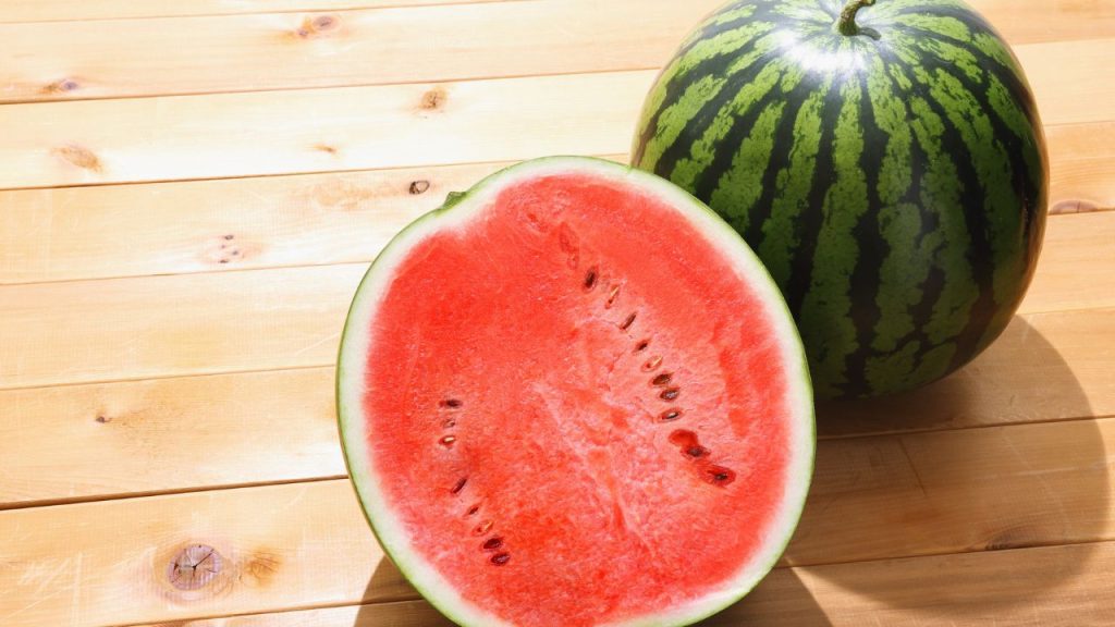 अच्छा तरबूज चुनने के लिए उसके आकार और वजन पर ध्यान देना जरूरी है. आमतौर पर गोल और अपने आकार के हिसाब से भारी तरबूज ज्यादा मीठा और रसदार होता है, जबकि हल्का तरबूज अंदर से कच्चा या फीका निकल सकता है.